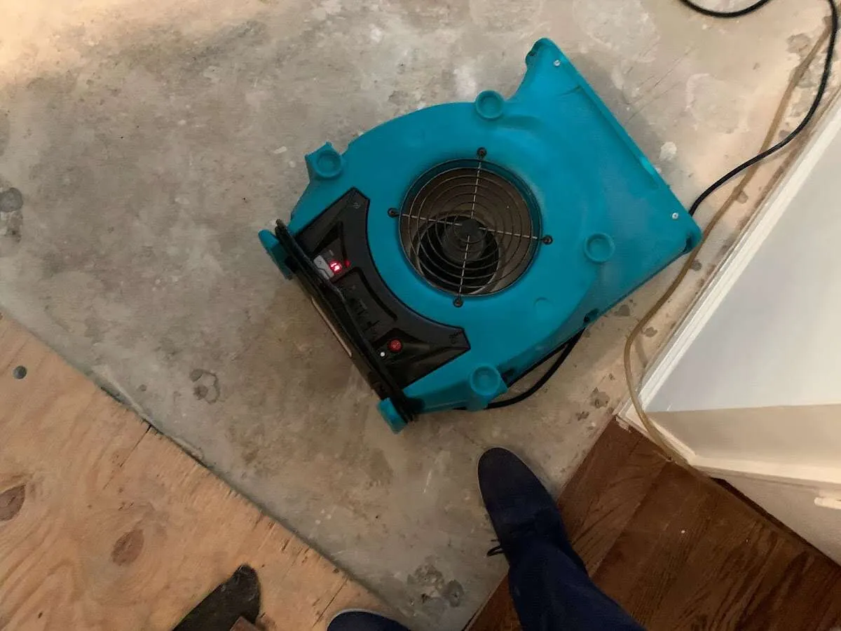 Air mover drying subfloor during Leak Detection & Repair in Westgate